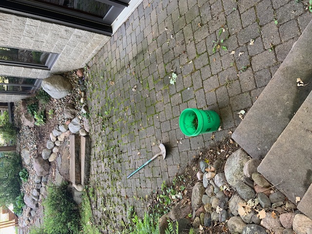 Professional Paver Cleaning and Sealing in Crosslake, MN