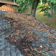 Superior Roof Cleaning in Nisswa, MN 